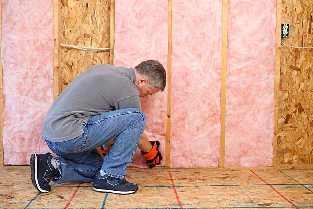 Best Types of Insulation in Pearl City, HI